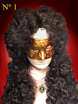 Peruca LOUIS XIV - Peruca do sculo 17 com 3 lados do cabelo cheio