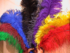 PLUMES